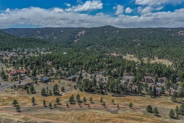 1321 Masters Dr, Woodland Park, CO 80863 - photo 41