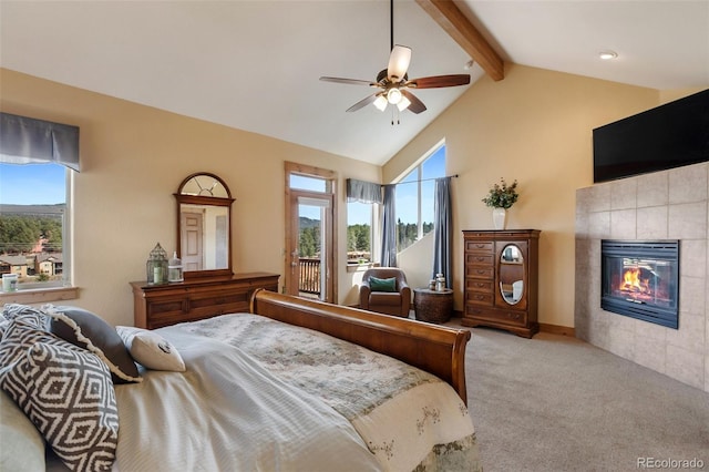 1321 Masters Dr, Woodland Park, CO 80863 - photo 27