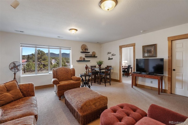 1321 Masters Dr, Woodland Park, CO 80863 - photo 30