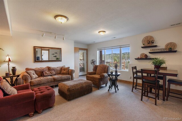 1321 Masters Dr, Woodland Park, CO 80863 - photo 31