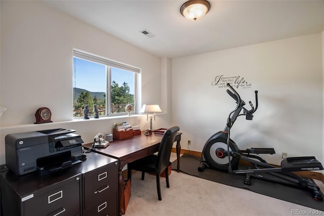 1321 Masters Dr, Woodland Park, CO 80863 - photo 33