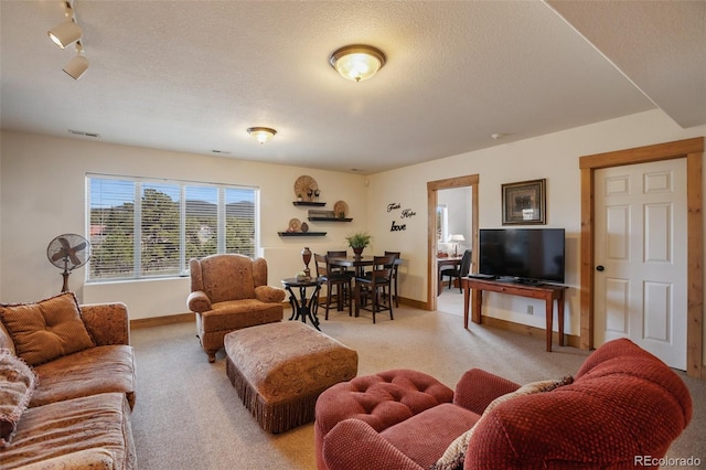 1321 Masters Dr, Woodland Park, CO 80863 - photo 37