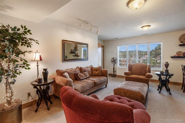 1321 Masters Dr, Woodland Park, CO 80863 - photo 38