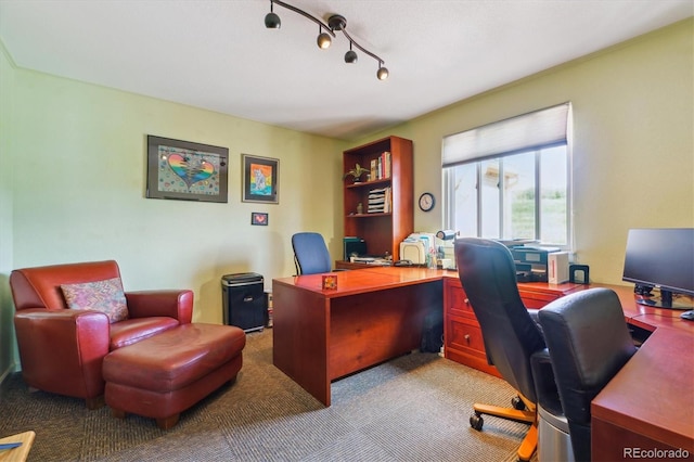 7289 Stroh Rd, Parker, CO 80134 - office area with light colored carpet