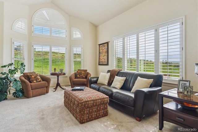 7289 Stroh Rd, Parker, CO 80134 - carpeted living area with plenty of natural light and high vaulted ceiling