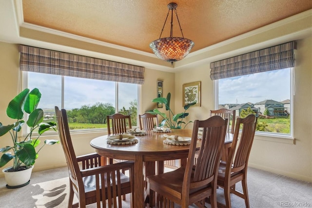 7289 Stroh Rd, Parker, CO 80134 - dining space with light carpet, ornamental molding, and a raised ceiling
