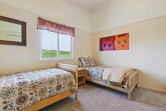 7289 Stroh Rd, Parker, CO 80134 - view of carpeted bedroom