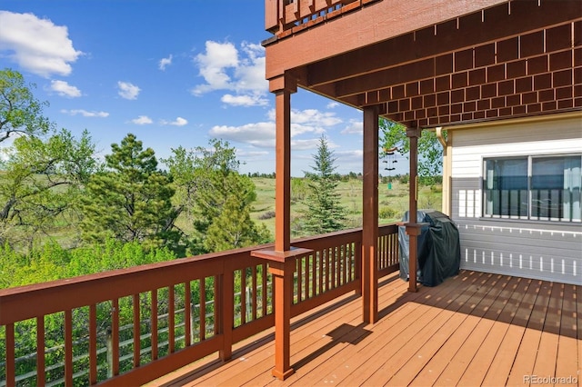 7289 Stroh Rd, Parker, CO 80134 - deck with area for grilling