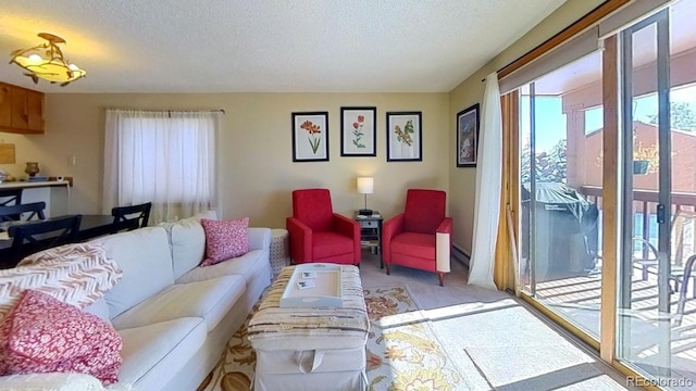 living room featuring carpet floors and a textured ceiling