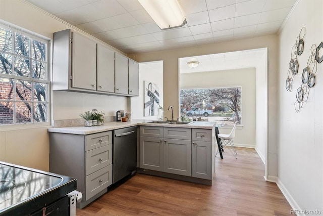 kitchen with gray cabinetry, a healthy amount of sunlight, sink, and stainless steel dishwasher