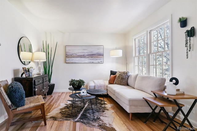 living room featuring light hardwood / wood-style floors