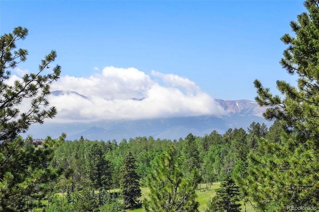 0 Schubarth Trl, Woodland Park, CO 80863