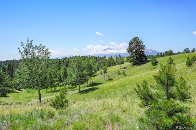 0 Schubarth Trl, Woodland Park, CO 80863
