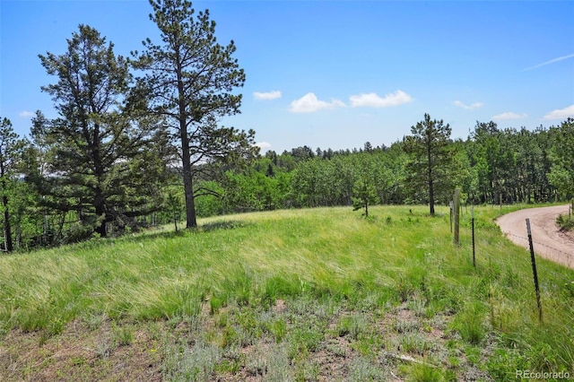 0 Schubarth Trl, Woodland Park, CO 80863