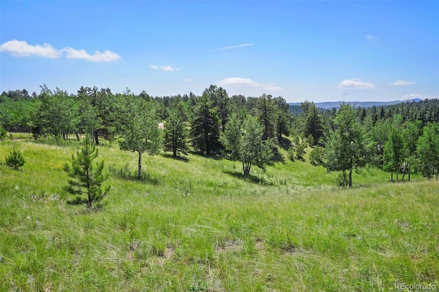 0 Schubarth Trl, Woodland Park, CO 80863