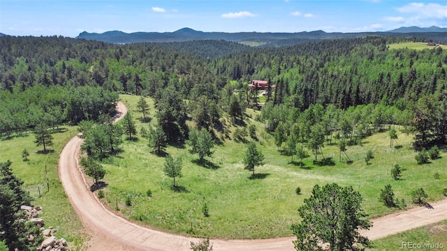 0 Schubarth Trl, Woodland Park, CO 80863