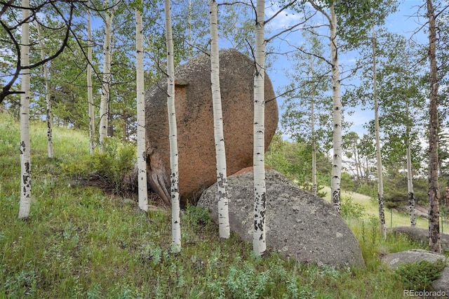 0 Schubarth Trl, Woodland Park, CO 80863
