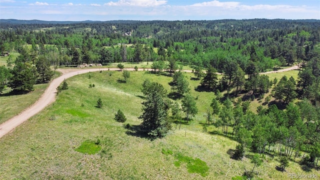 0 Schubarth Trl, Woodland Park, CO 80863