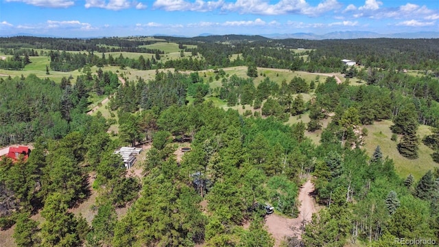 0 Schubarth Trl, Woodland Park, CO 80863
