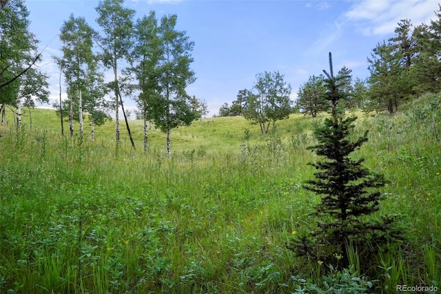 0 Schubarth Trl, Woodland Park, CO 80863