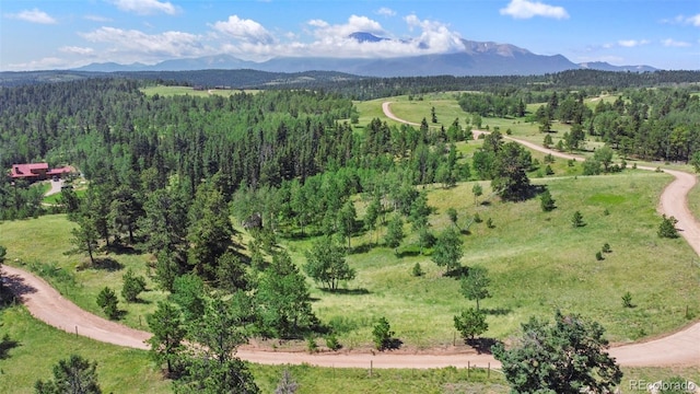 0 Schubarth Trl, Woodland Park, CO 80863