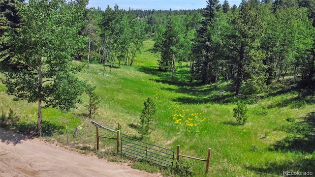 0 Schubarth Trl, Woodland Park, CO 80863