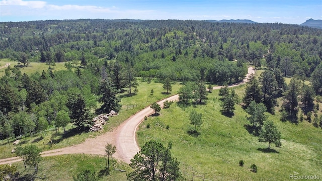 0 Schubarth Trl, Woodland Park, CO 80863