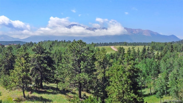 0 Schubarth Trl, Woodland Park, CO 80863