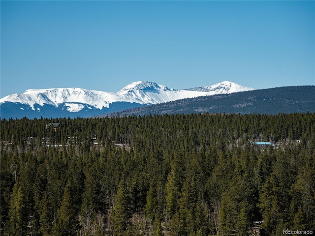 39 Platte View Dr, Fairplay, CO 80440 - photo 10