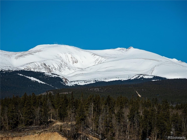 39 Platte View Dr, Fairplay, CO 80440 - photo 11
