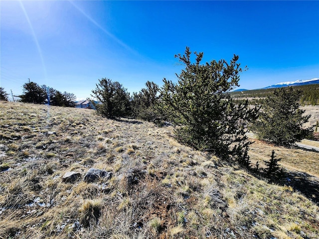 39 Platte View Dr, Fairplay, CO 80440 - photo 15