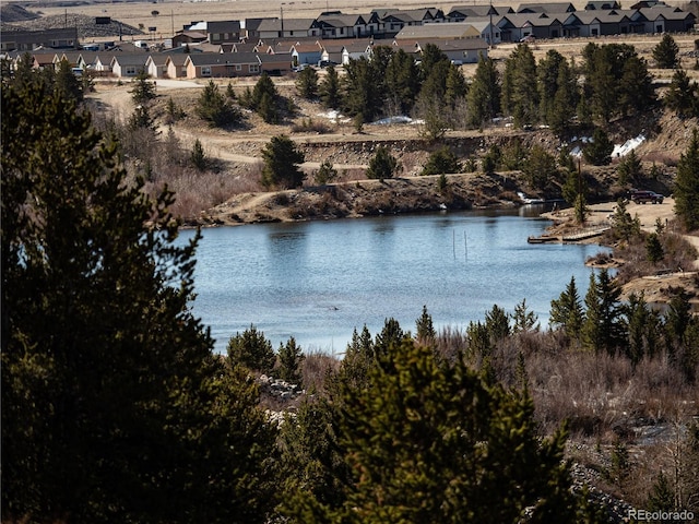 39 Platte View Dr, Fairplay, CO 80440 - photo 8