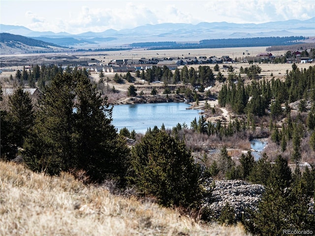 39 Platte View Dr, Fairplay, CO 80440 - photo 9
