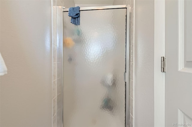 room details featuring a shower with shower door