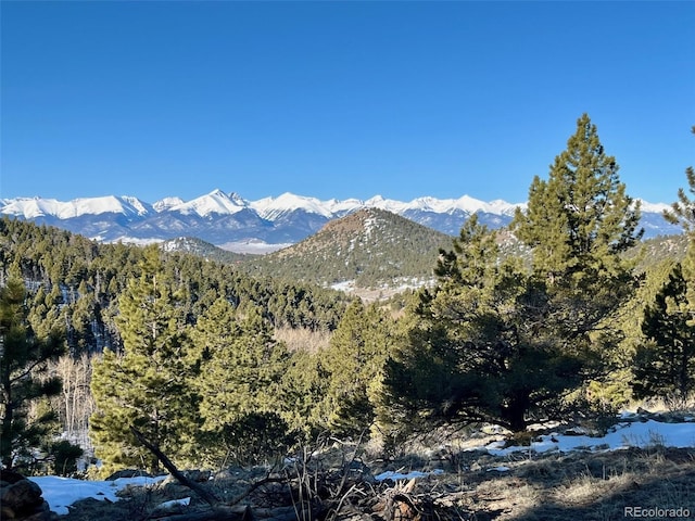 1716 County Road 327, Westcliffe, CO 81252 - photo 1