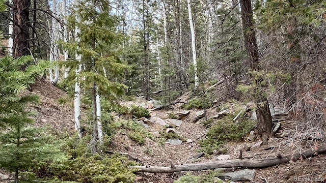 1716 County Road 327, Westcliffe, CO 81252 - photo 4