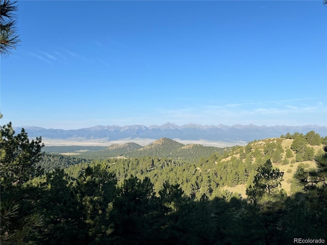 1716 County Road 327, Westcliffe, CO 81252 - photo 23