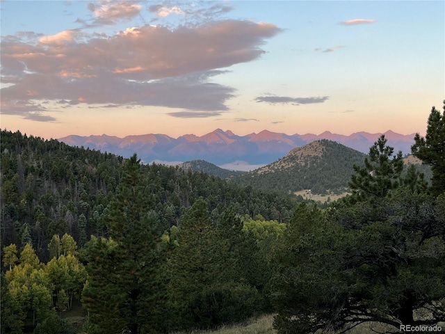 1716 County Road 327, Westcliffe, CO 81252 - photo 24