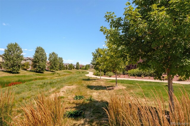 10238 Tall Oaks Cir, Parker, CO 80134