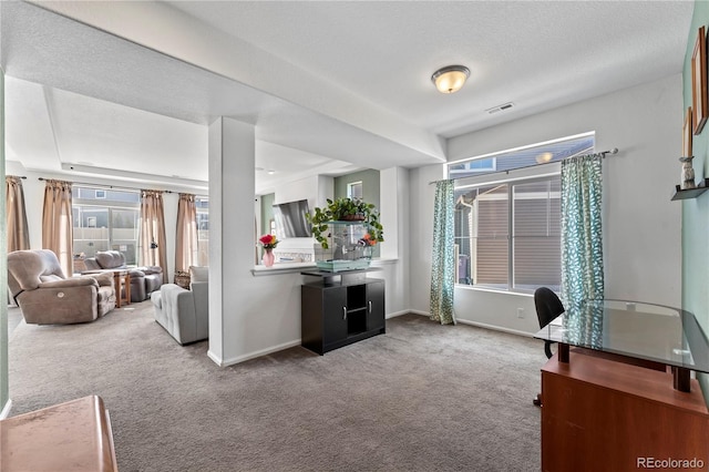 carpeted home office with visible vents, a textured ceiling, and baseboards