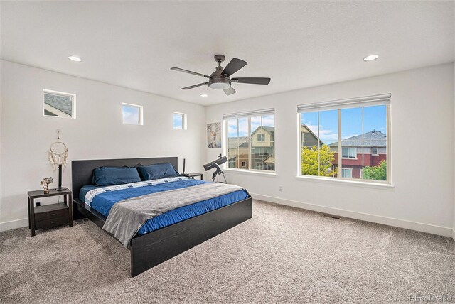 1027 Auburn Dr, Erie, CO 80516 - photo 13