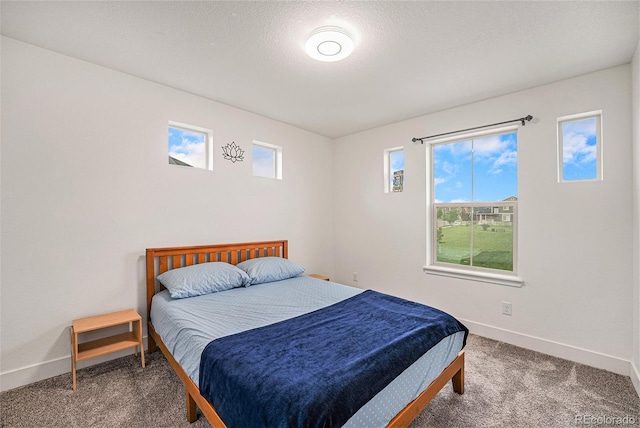 1027 Auburn Dr, Erie, CO 80516 - photo 15