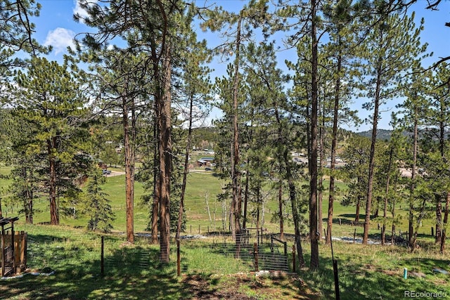 29827 Gigi Rd, Evergreen, CO 80439 - view of yard featuring a mountain view
