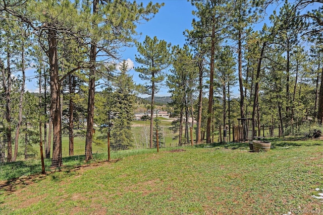 29827 Gigi Rd, Evergreen, CO 80439 - view of grassy yard