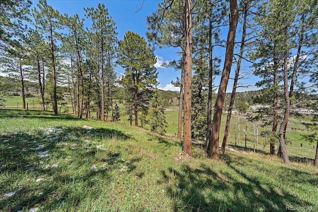 29827 Gigi Rd, Evergreen, CO 80439 - view of yard