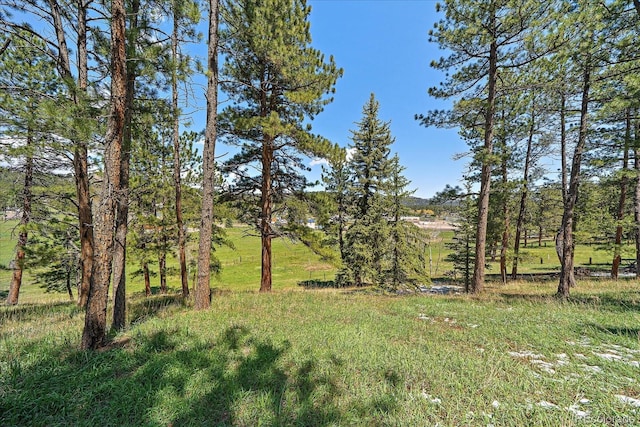 29827 Gigi Rd, Evergreen, CO 80439 - view of yard