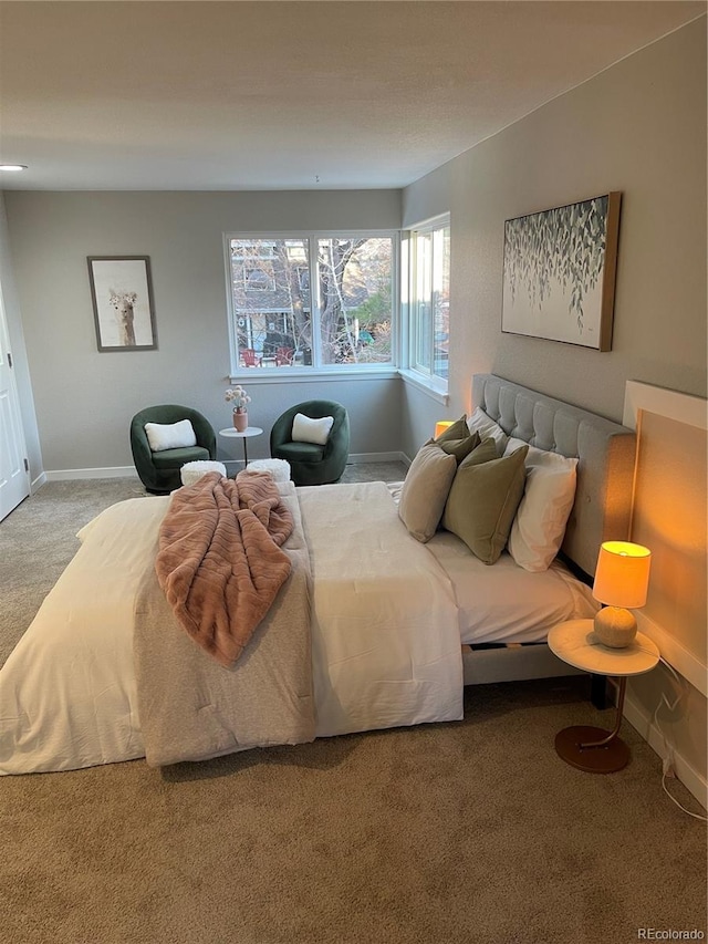 bedroom featuring carpet flooring