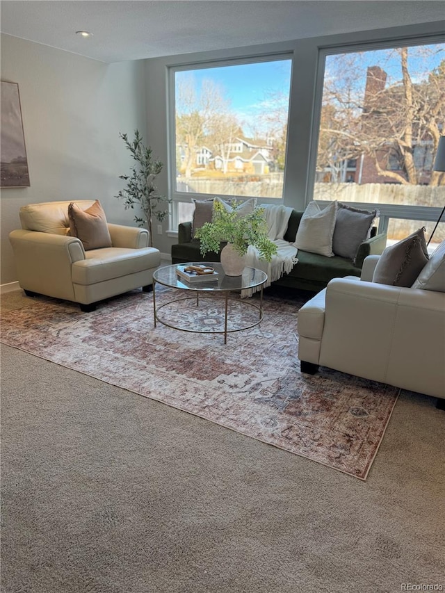 living room featuring carpet