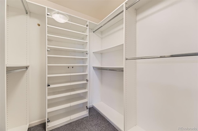 16257 E Belleview Pl, Centennial, CO 80015 - spacious closet featuring dark colored carpet