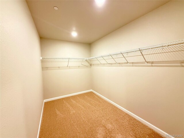 161 Robin Rd, Johnstown, CO 80534 - walk in closet featuring carpet